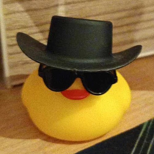 Miért éppen a kacsa?